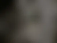 StealthPins.Com