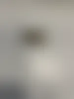 BobbleheadsNow.com