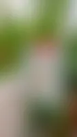 StealthPins.Com - Hard Enamel Pin