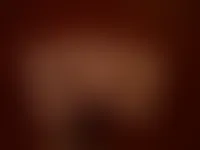 StealthPins.Com