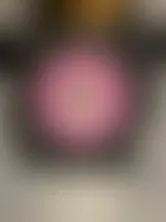 StealthPins.Com