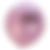 HandFansNow.Com