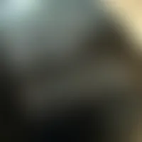 HandFansNow.Com