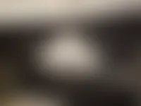 StealthPins.Com