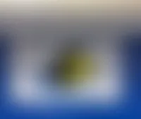 StealthPins.Com - Rectangle Flag