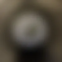 StealthPins.Com