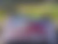 StealthPins.Com