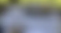 StealthPins.Com