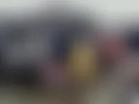 StealthPins.Com