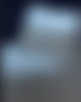 StealthPins.Com