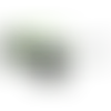 White-Lime Green