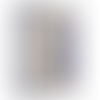 Blue-Silver