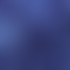 Polyester Twill