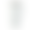 White (WH)