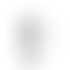 White (WH)