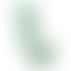 White (WH)