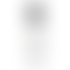 White (WH)