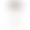 White (WH)