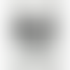 1 Color