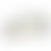 White (WH)