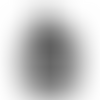 AirPods 1