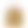 Yellowish Brown - Challenge Coin Now