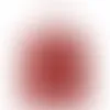Crimson Rust - Challenge Coin Now
