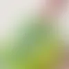 Clear Stickers - Bobbleheads Now