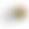 Small Top View Tin-Jelly Belly® - Bobbleheads Now