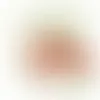 Calling Card - Jelly Beans - Bobbleheads Now