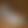 Calling Card - Stash Tea Assortment - Bobbleheads Now