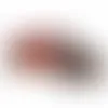 Tube with Choc Covered Peanuts - TRB610 - Stealth Promo Co
