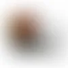 Round Tin with Jelly Bellies - SBF3100 - Stealth Promo Co