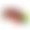Clever Candy Small 3" Candy Tube with Gummy Bears - Stealth Promo Co