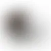 Round Tin with Chocolate Raisins - SBF3100 - Stealth Promo Co