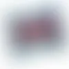 2oz. Full Color DigiBag™ with Cherry Bites - Bobbleheads Now