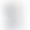 Shield Crystal Trophy