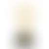 Hollow Star Trophy