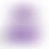 Dome Tents