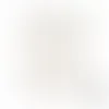 Seed Paper Letterheads