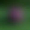 Tennis Balls - Stealth Promo Co