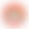 Acrylic Button