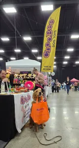 CustomProPrints.Com - Custom Small Grocery Tote Bag