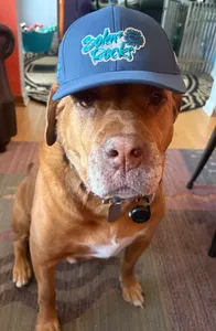 ImprintNow.de - Full Color TPU