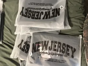 ToteBagsNow.Com - Zipper Frosted Bag