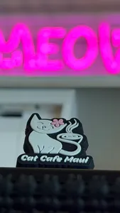 ChallengeCoinNow.Com