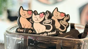 ChallengeCoinNow.Com