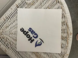 ToteBagsNow.Com - Custom Paper Luncheon Napkins