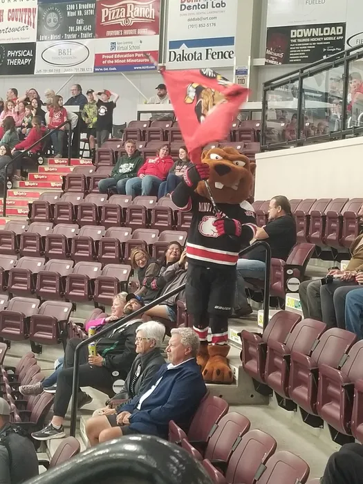 CustomProPrints.Com - Rectangle Flag