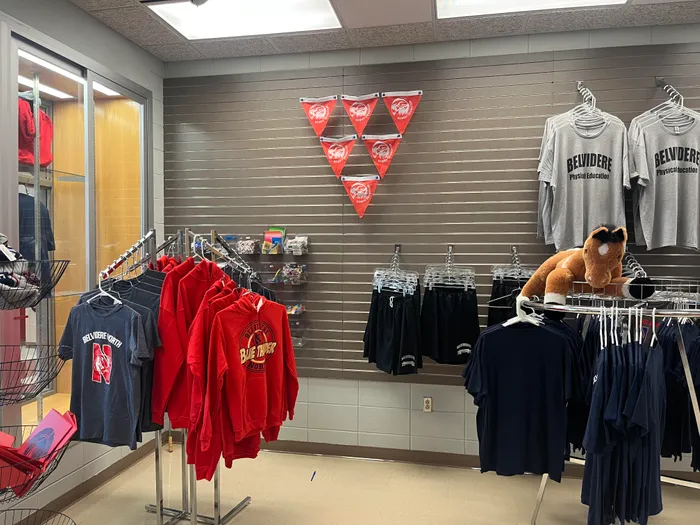 CustomProPrints.Com - Triangle Flag